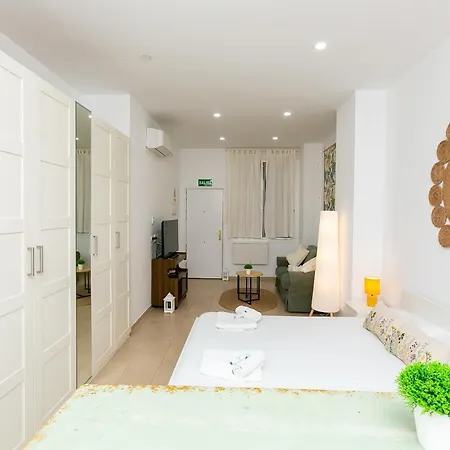Estudio Urbano Reformado Apartment Malaga